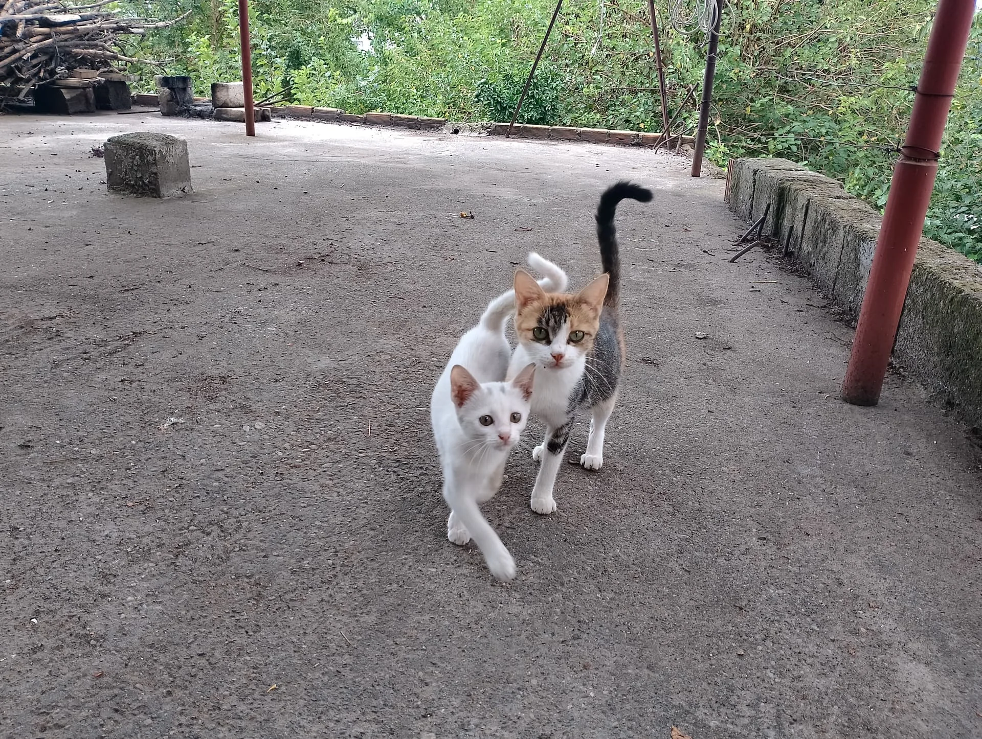 IMG_20240901_115815_HDR