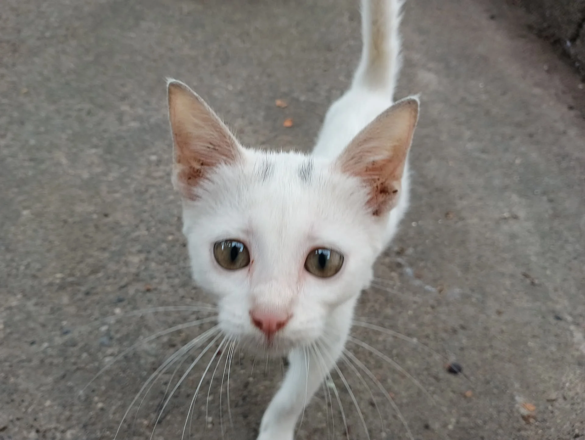 IMG_20240901_115822_HDR