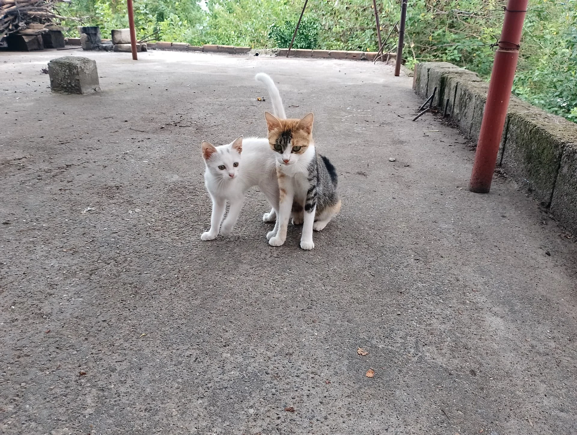 IMG_20240901_115830_HDR