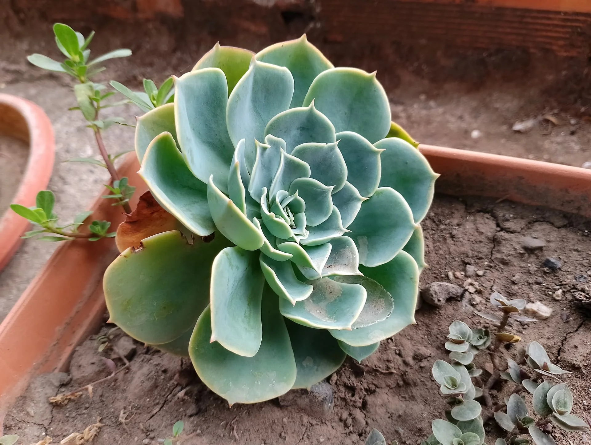 IMG_20240901_125313_HDR