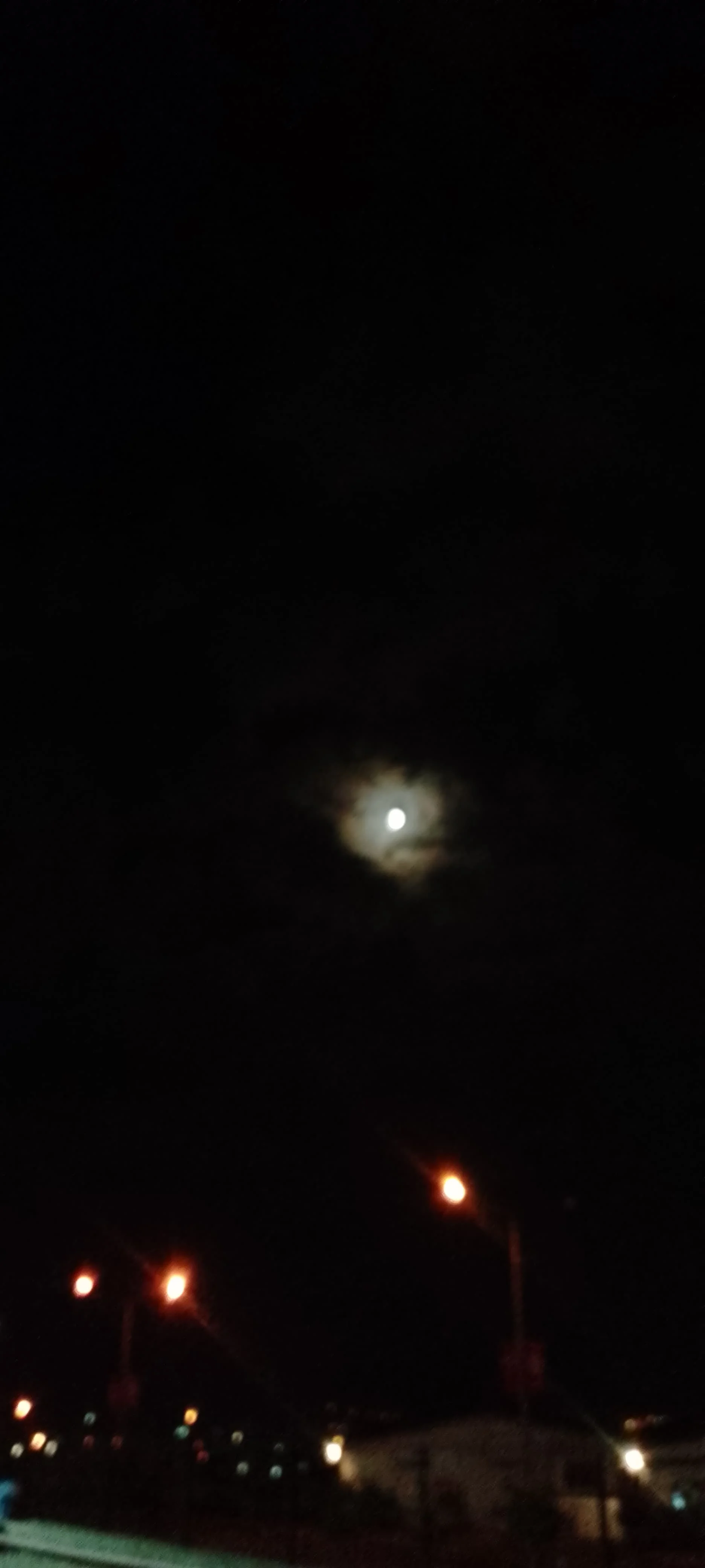 IMG_20240913_200835_478