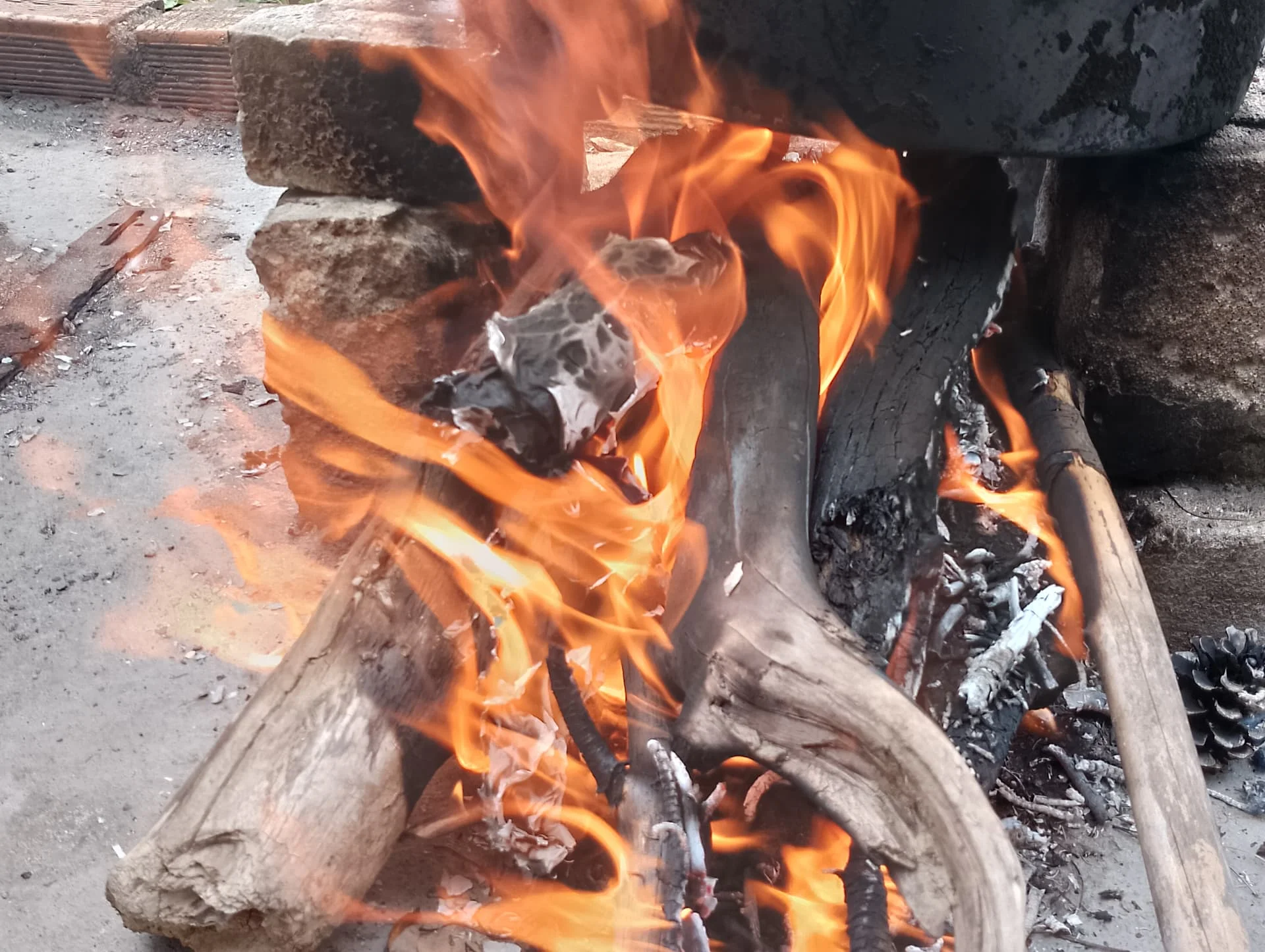 IMG_20240915_112821_HDR