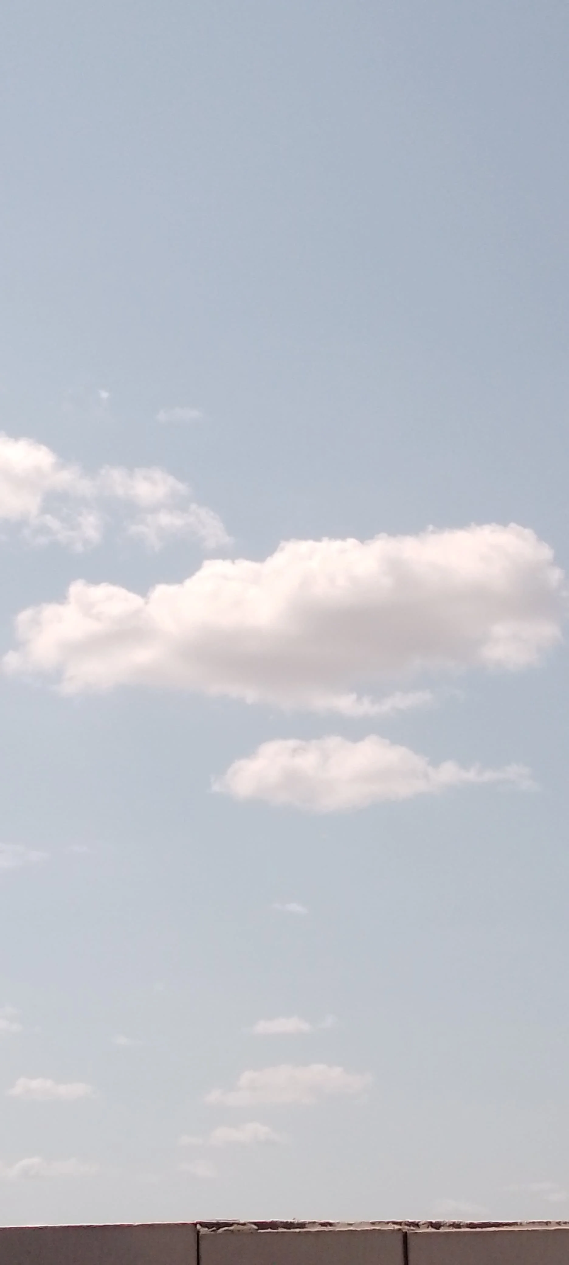 IMG_20240917_132642_470