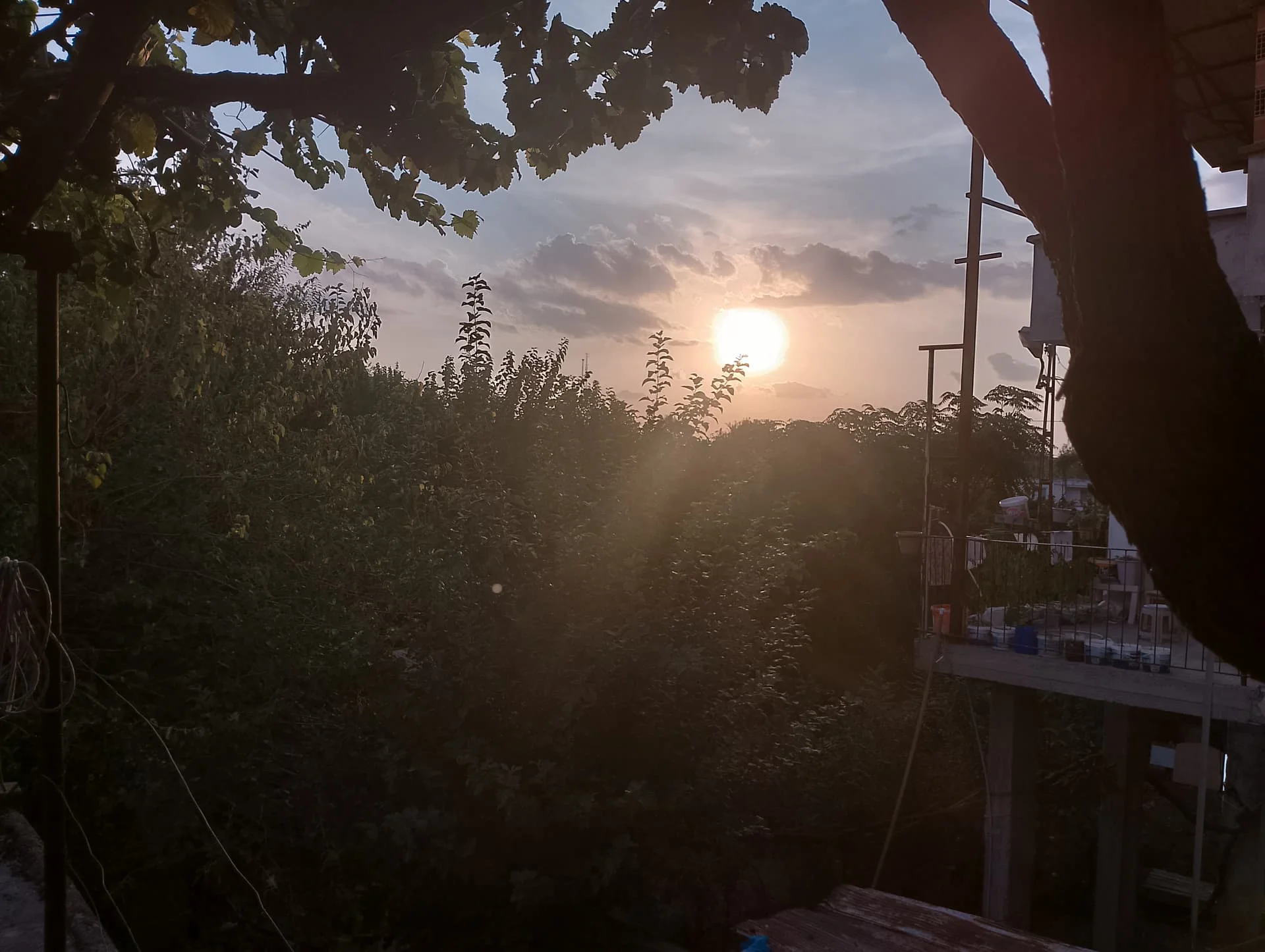 IMG_20240918_180123_HDR