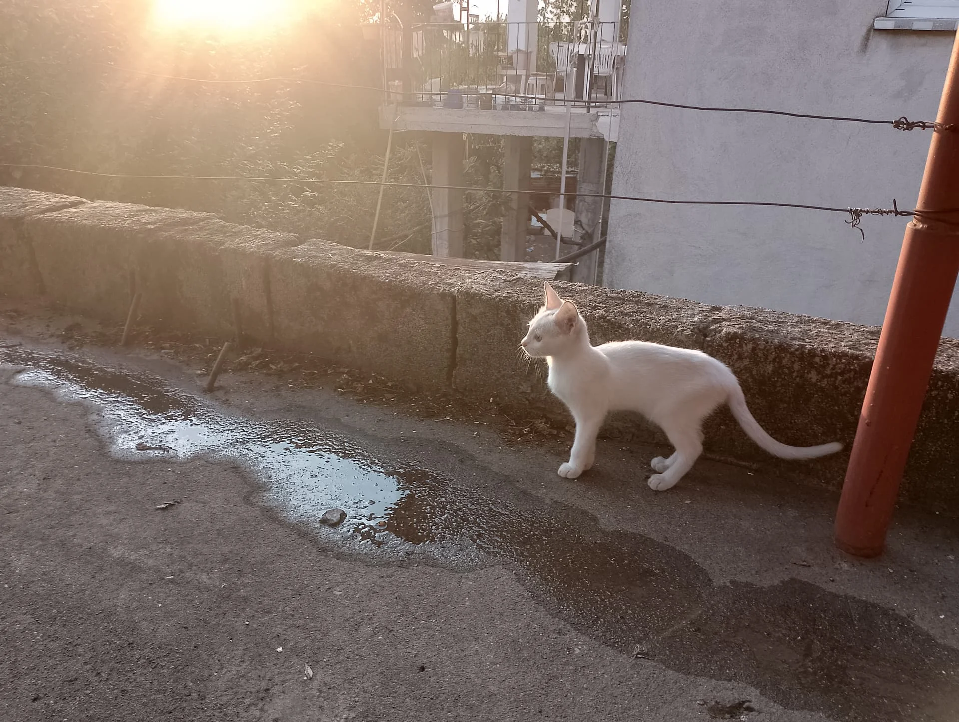 IMG_20240918_180223_HDR