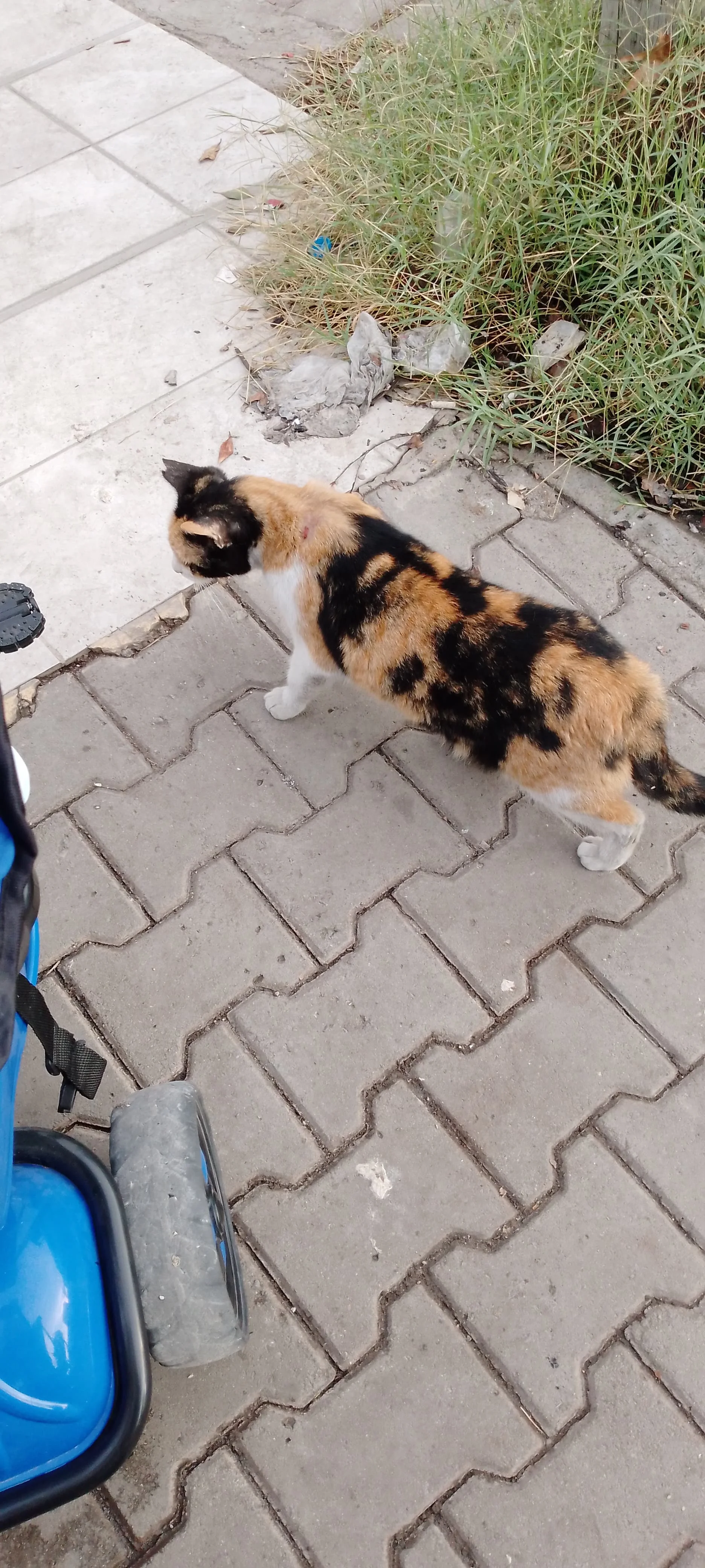 IMG_20240921_073122_948