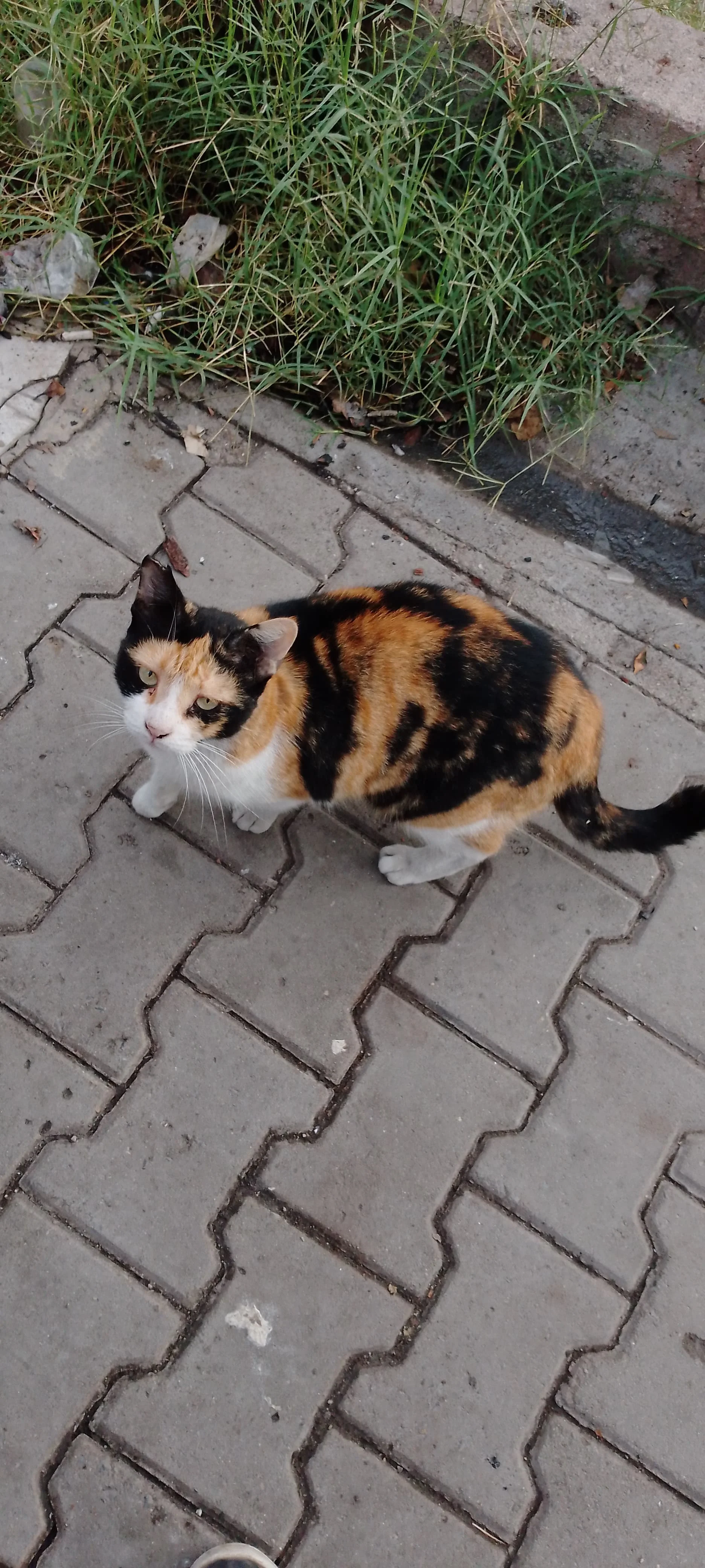 IMG_20240921_073126_413