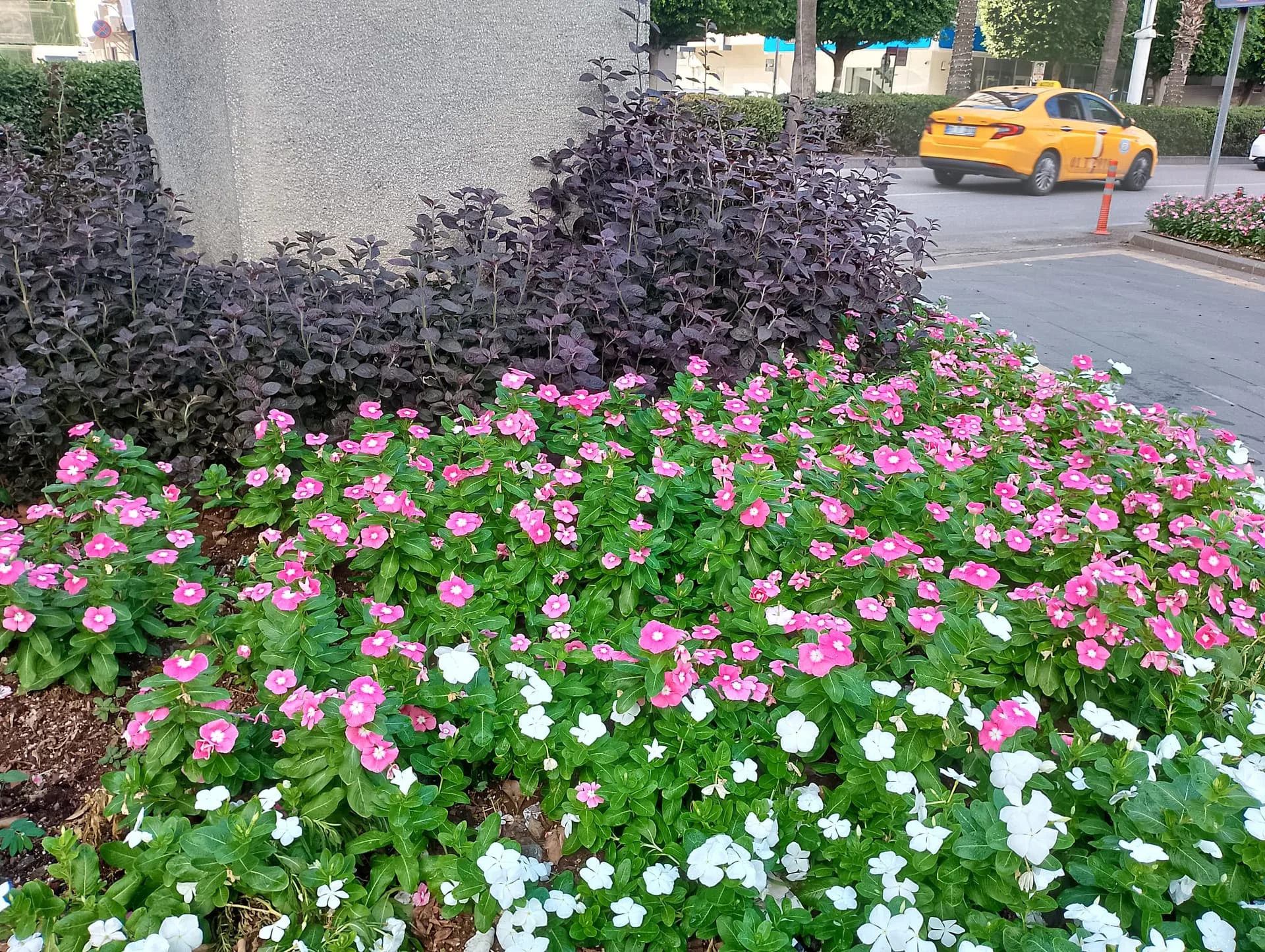 IMG_20240922_155318_HDR