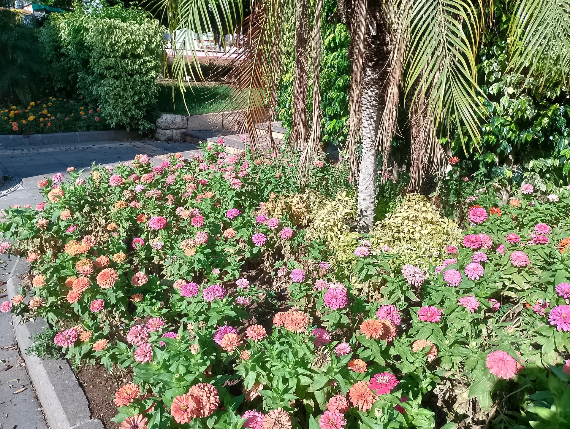 IMG_20240922_155441_HDR