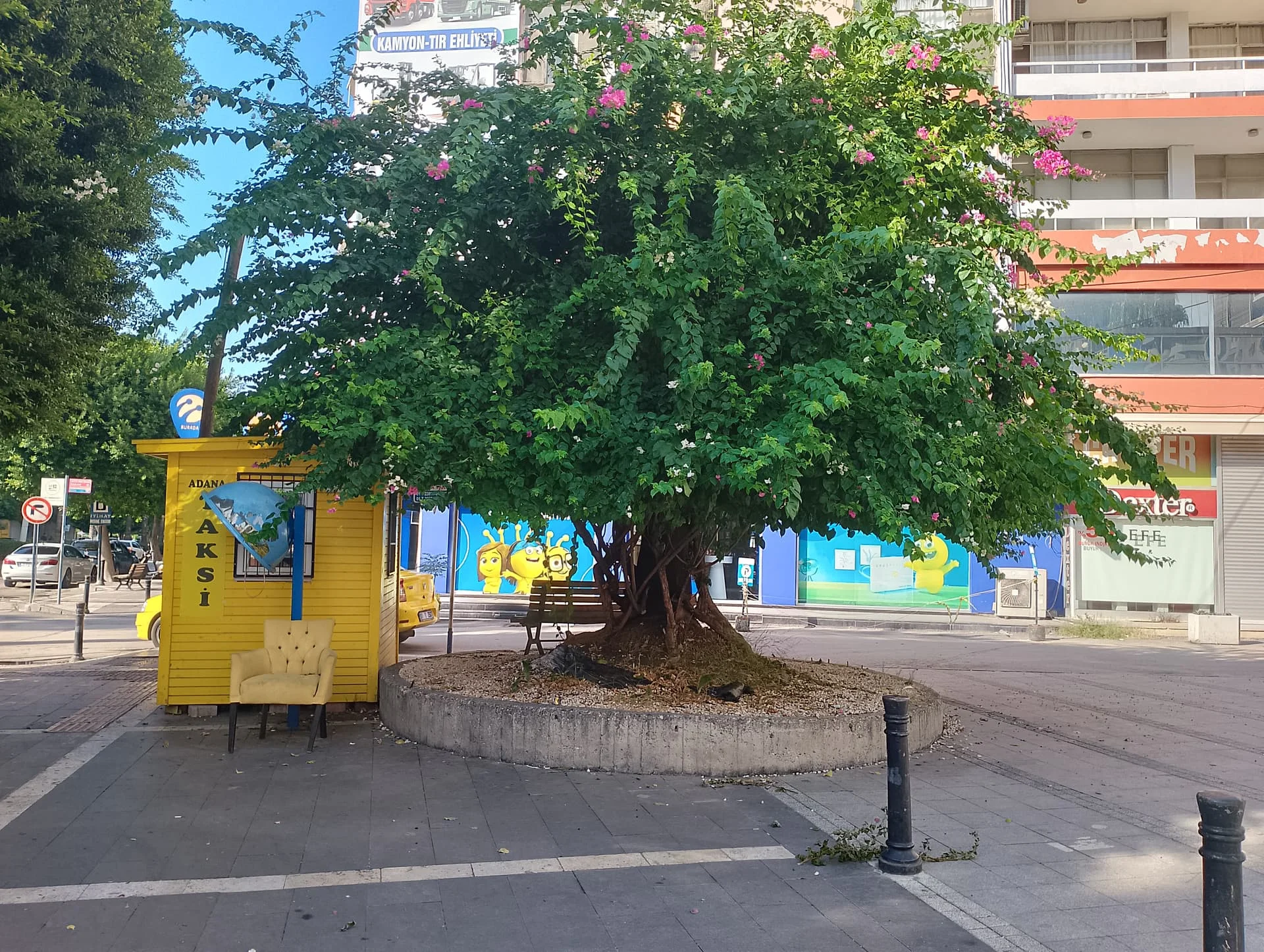 IMG_20240922_155622_HDR