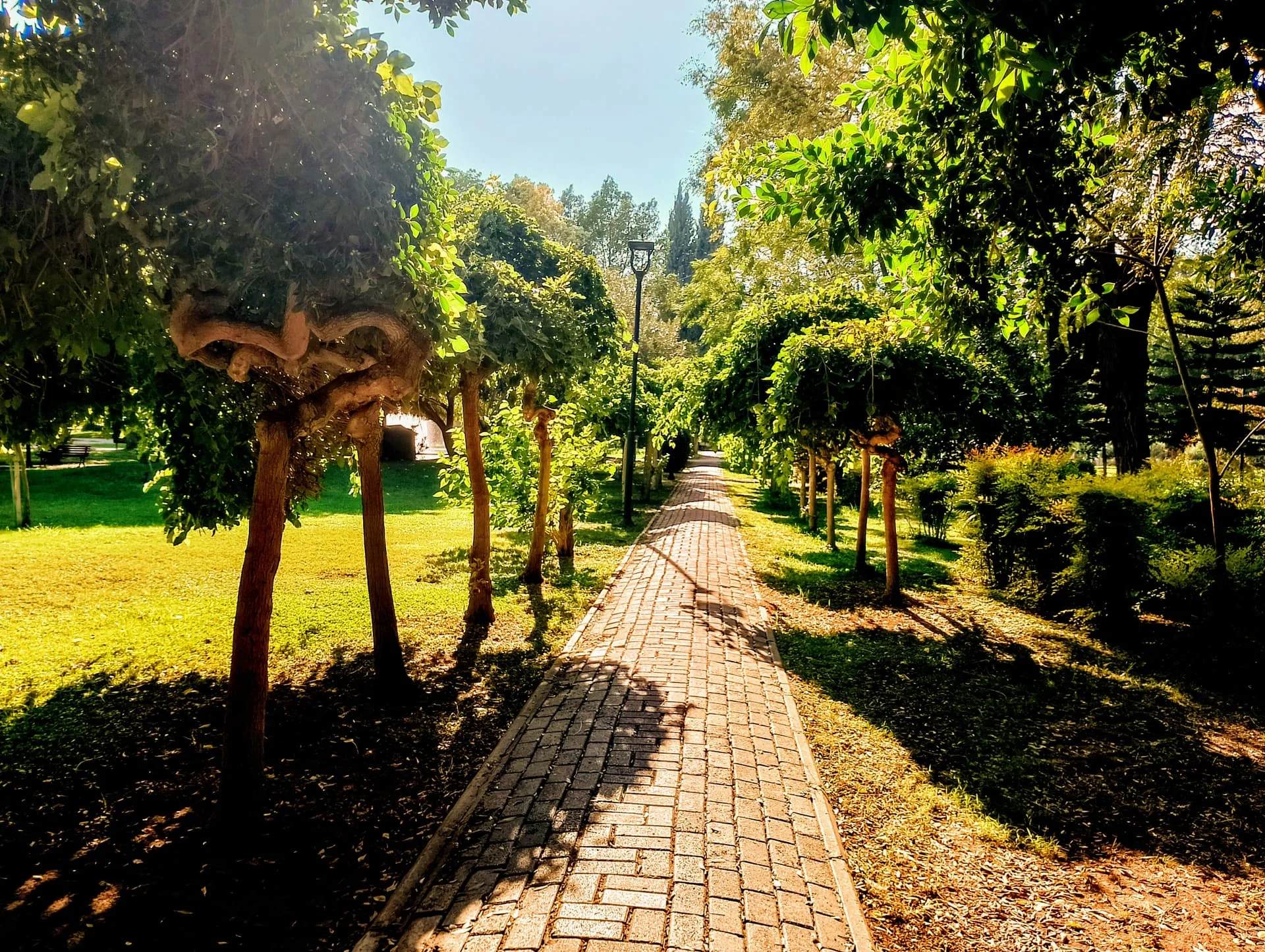 IMG_20240922_160200_HDR~3