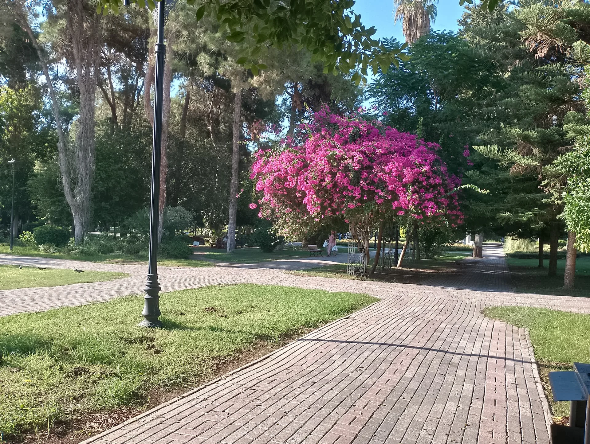 IMG_20240922_160237_HDR