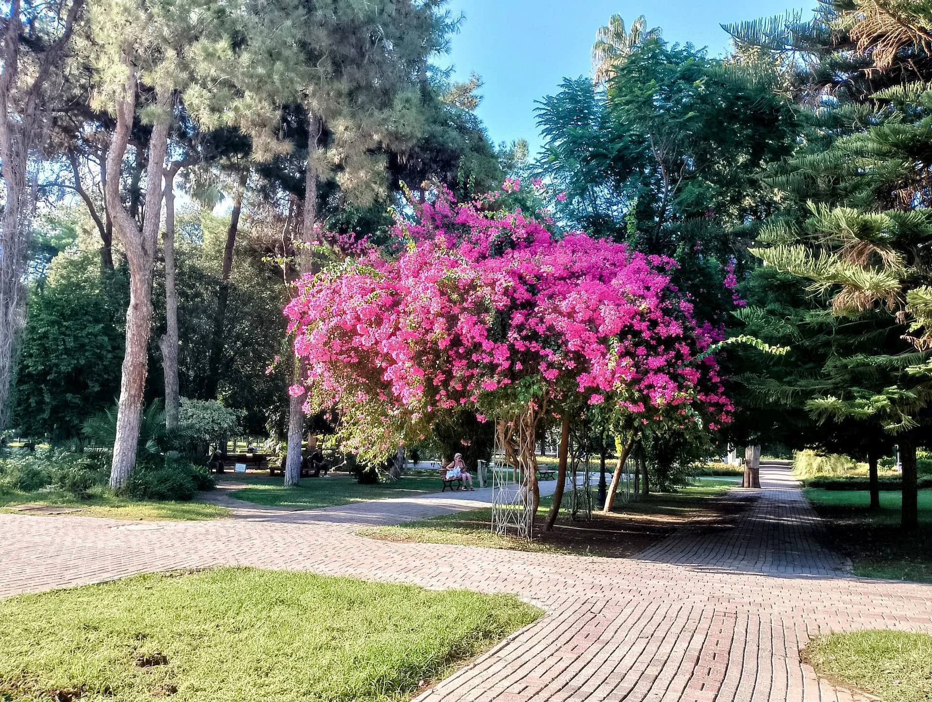 IMG_20240922_160247_HDR~2