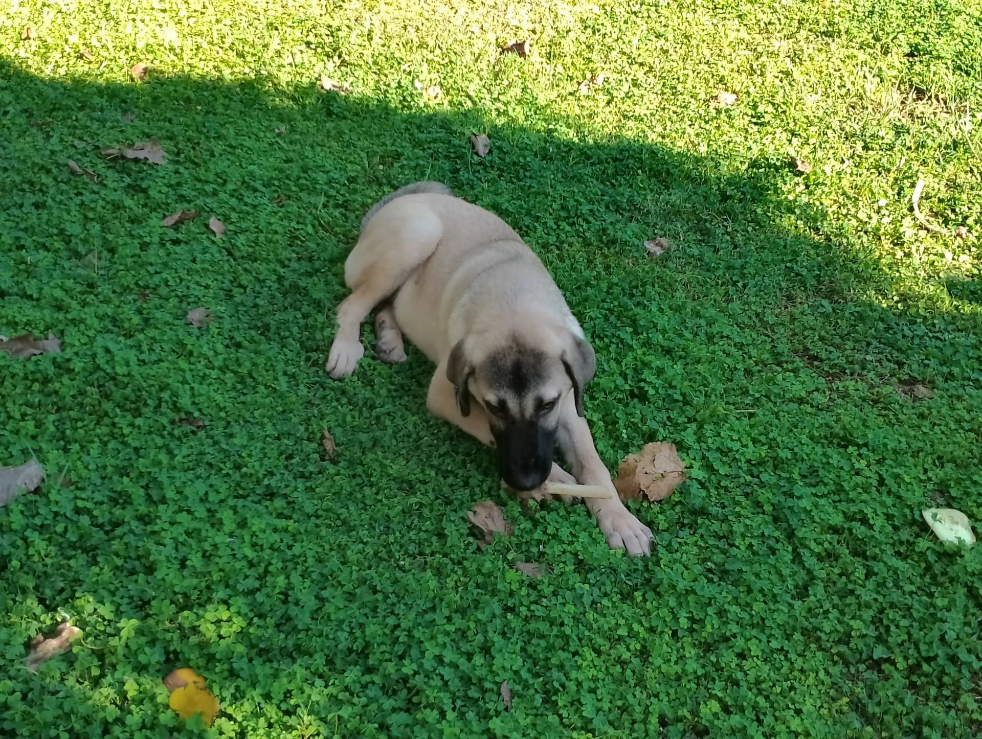 IMG_20240922_160621_HDR