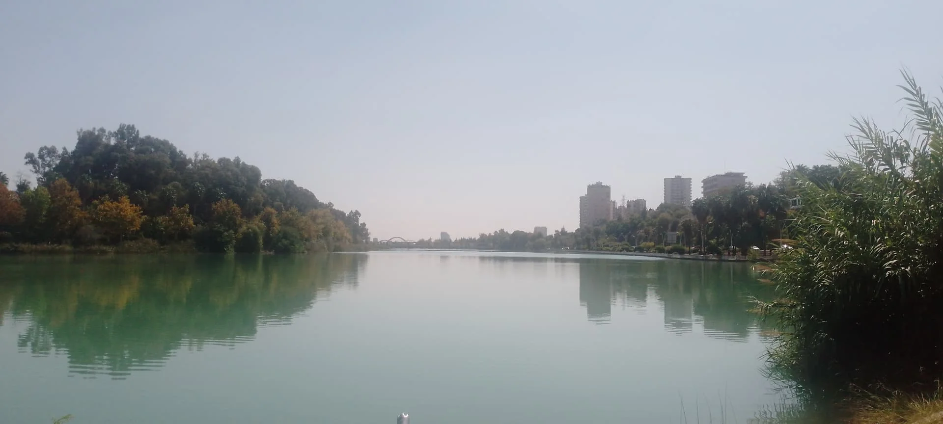 IMG_20240923_123853_512