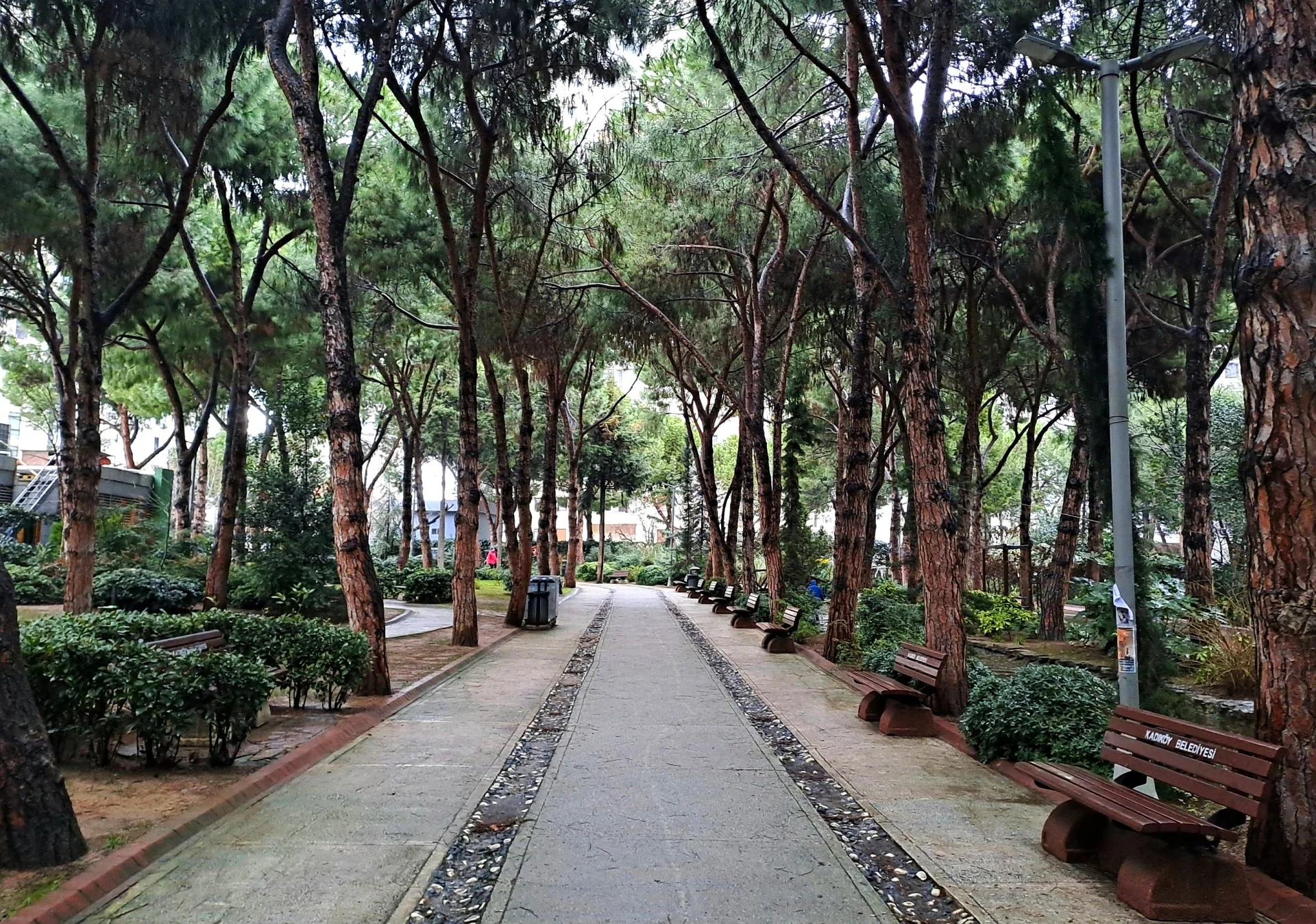 IMG_20250125_233241_592 (1).webp