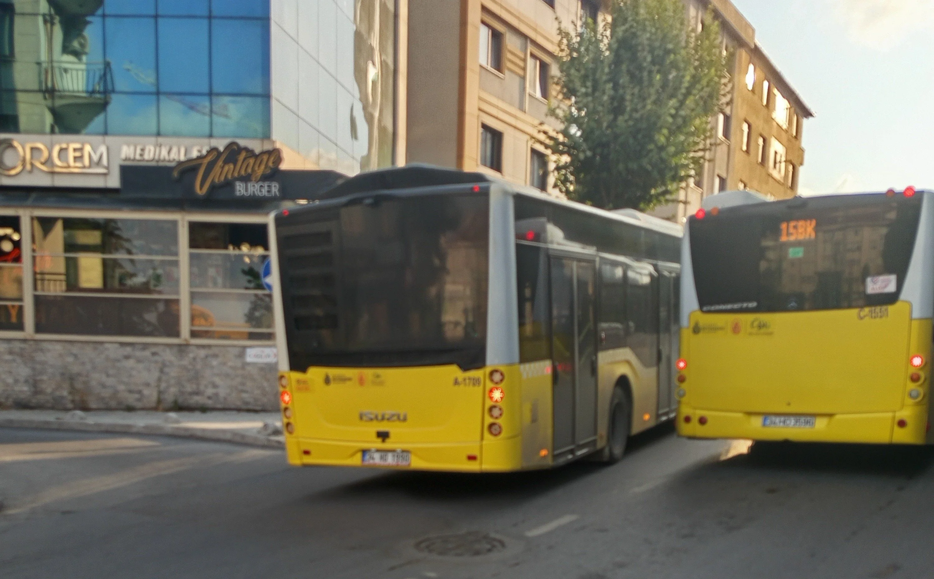 IMG_20250808_120904 (1).jpg