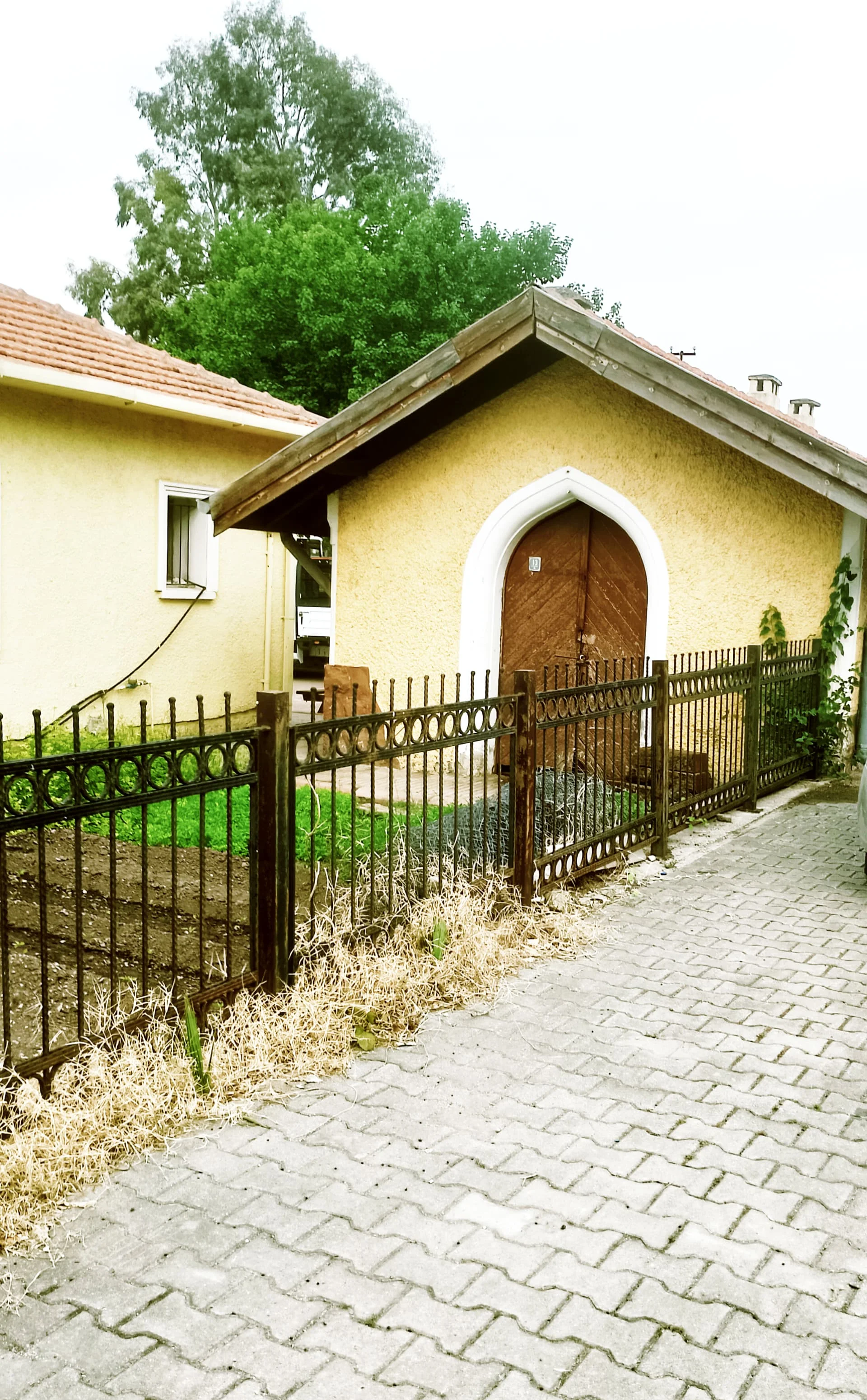 InCollage_20240517_171954569