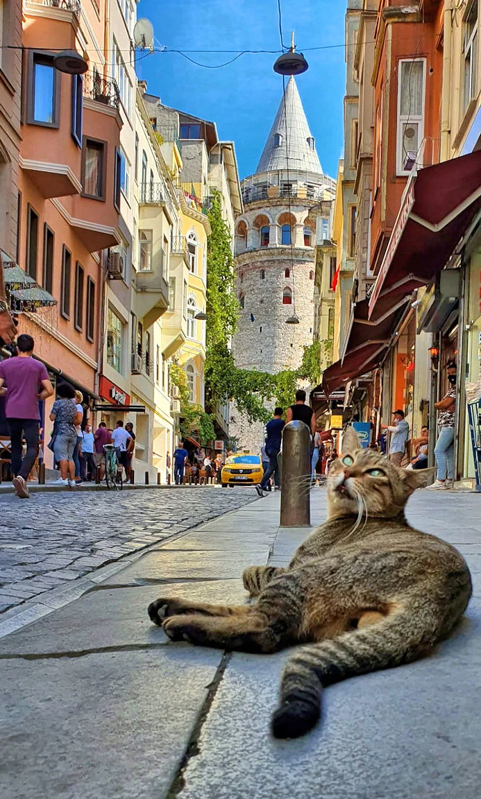 Istanbul_2020 (8).webp