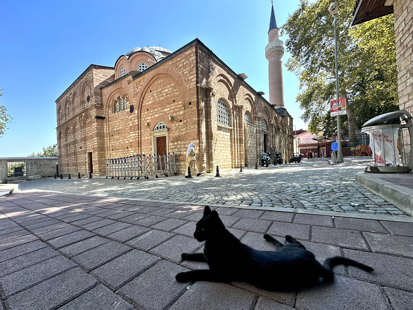 Istanbul_2024 (492).webp