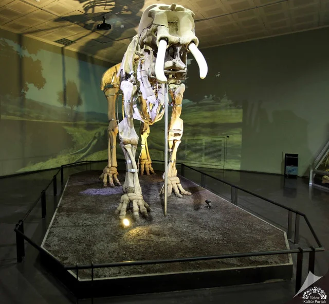 K-MARA-Arkeoloji-M-zesi-Servet-UYGUN-54