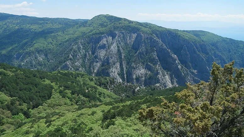 kazdaglariaajpeg-l_EVB29GsUmIGzi7_ZCI0A