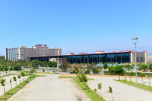 ksu-1-1911051423461385