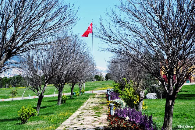 ksu-1-1911051423487167