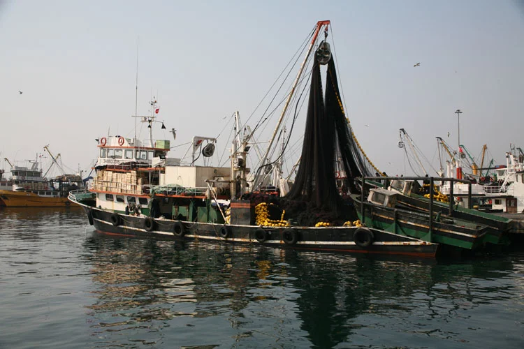 kumkapıbalıkçılar