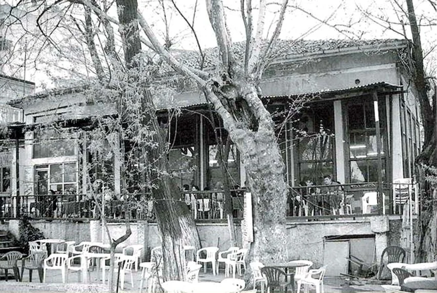 mahfelseksenliyıllar