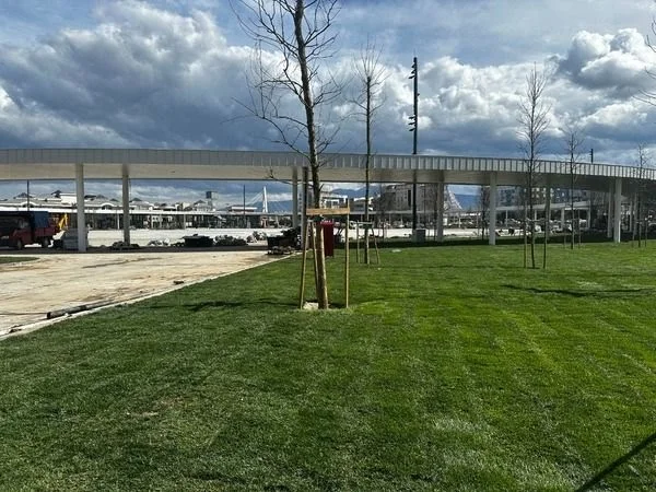 milli-irade-meydani-yesilleniyor-1