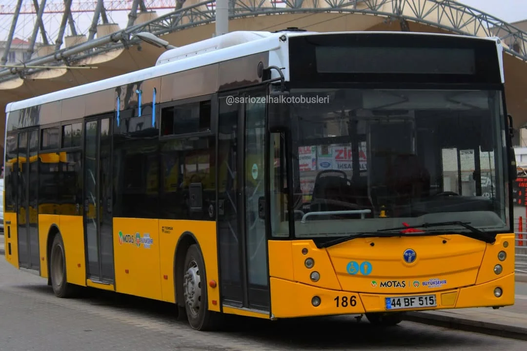 Motaş Temsa Avenue 186.webp