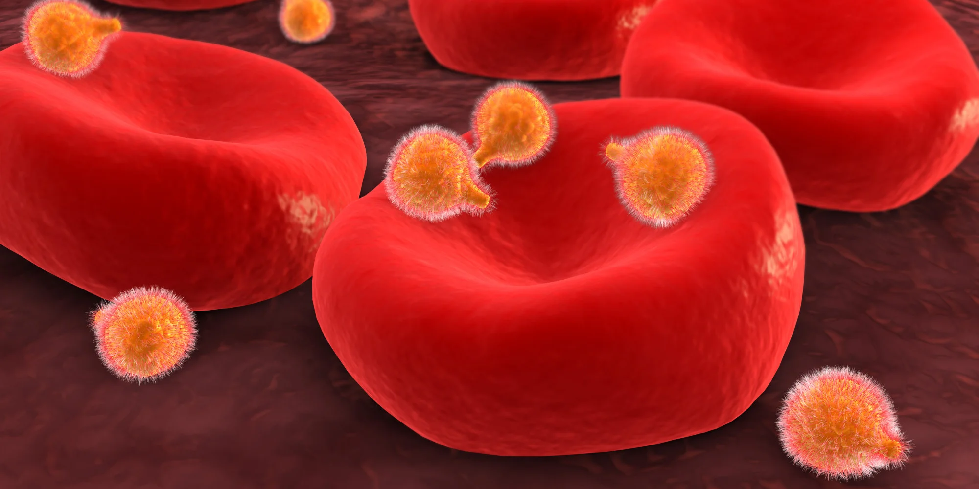 o-MALARIA-AUSTRIA-facebook