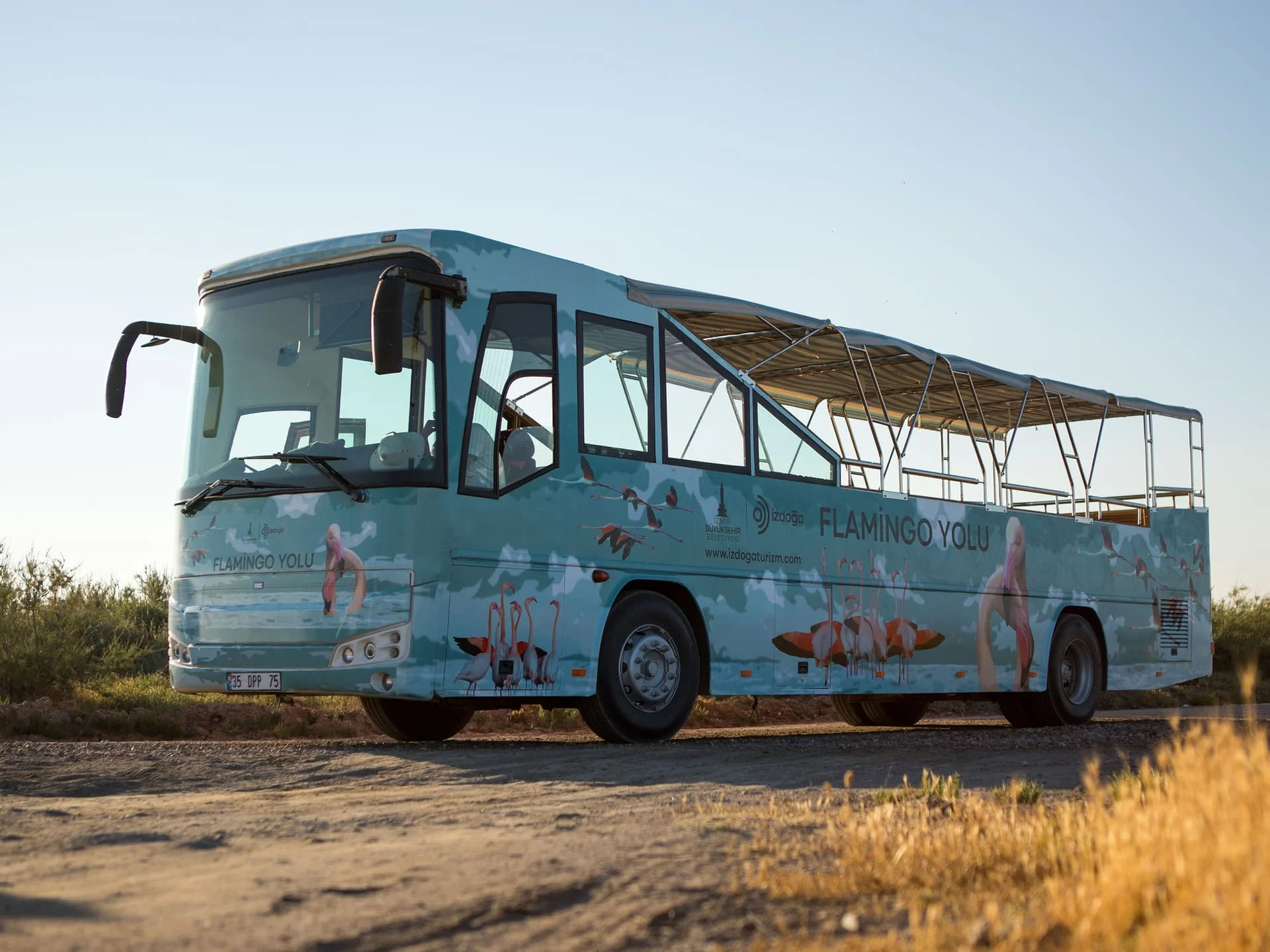 otobüs_flamingo