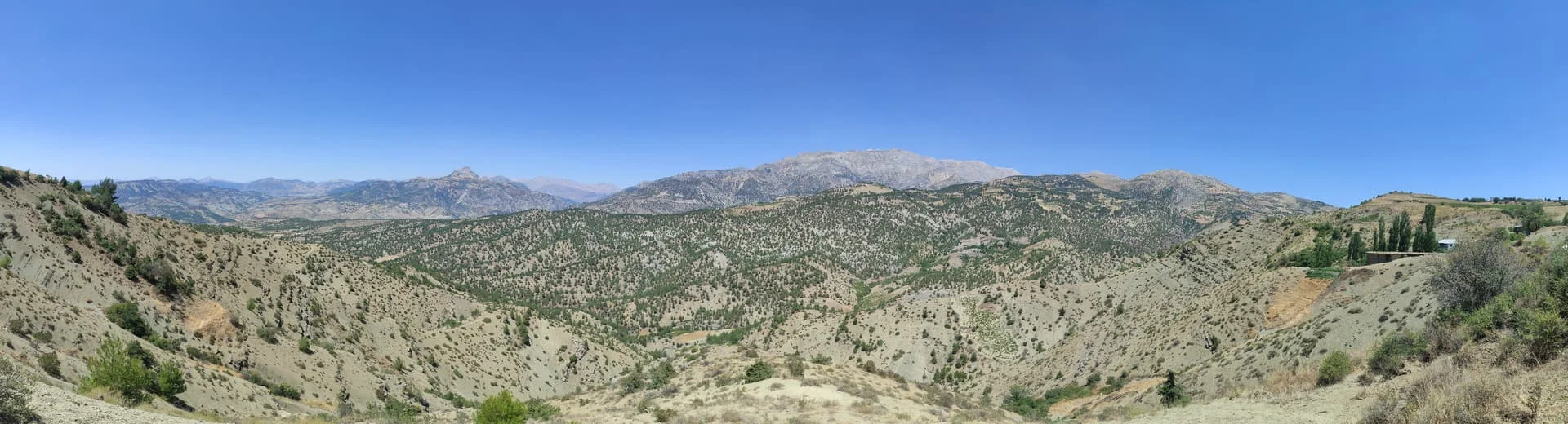 PANO_20240804_131054