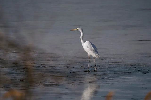 pexels-media-11297400