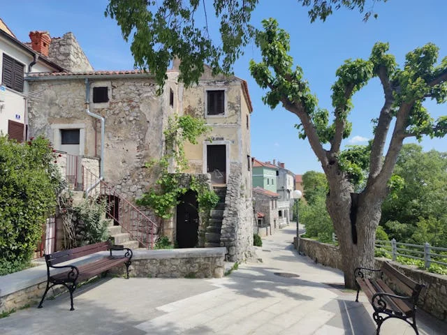 pexels-media-14384192