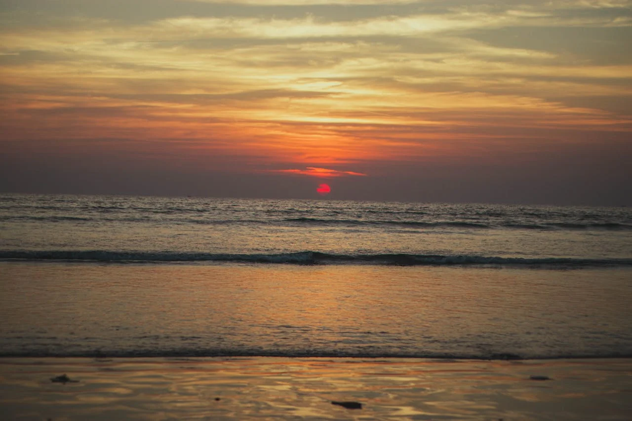 pexels-media-14851029