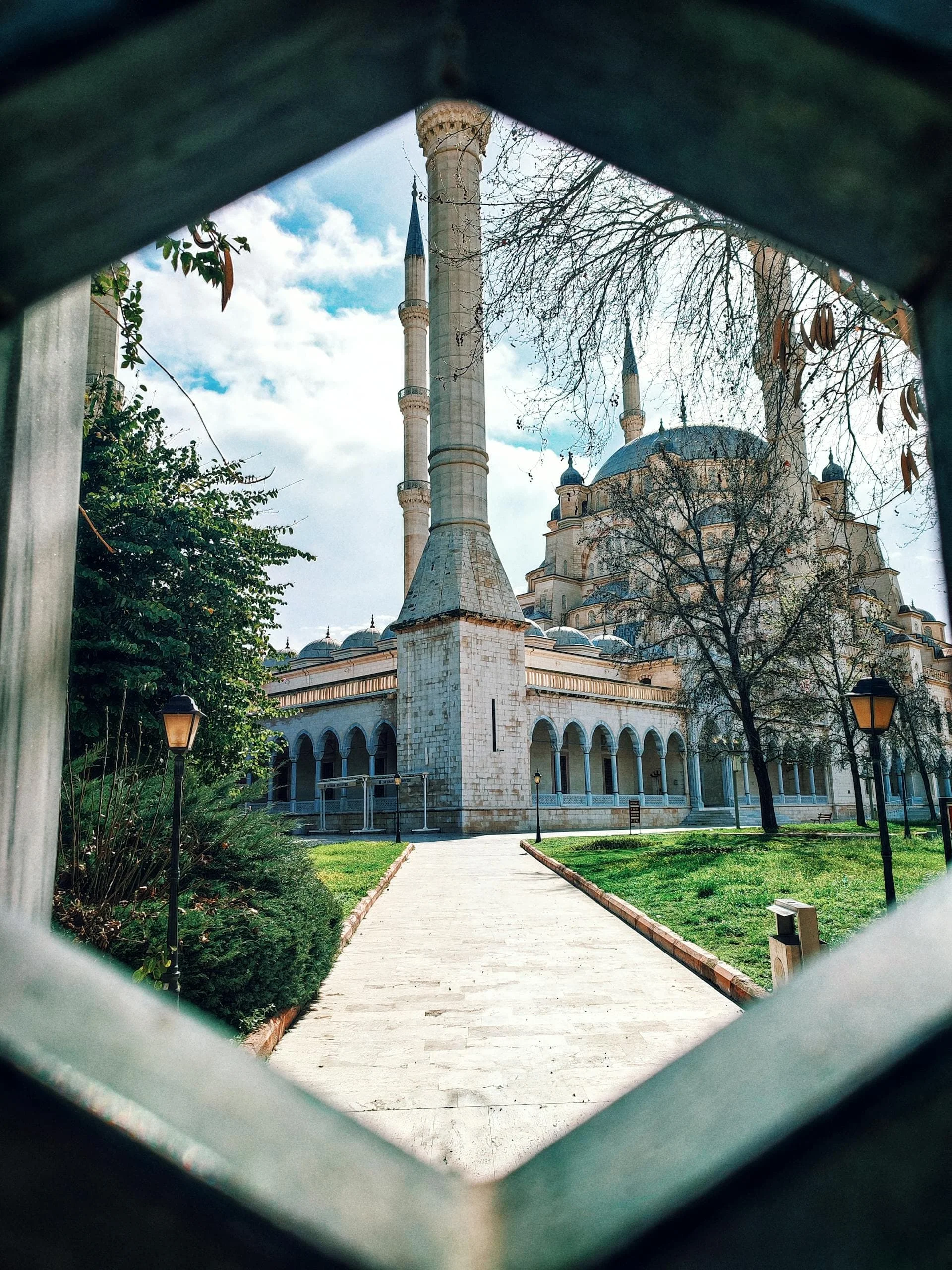 pexels-media-15973650