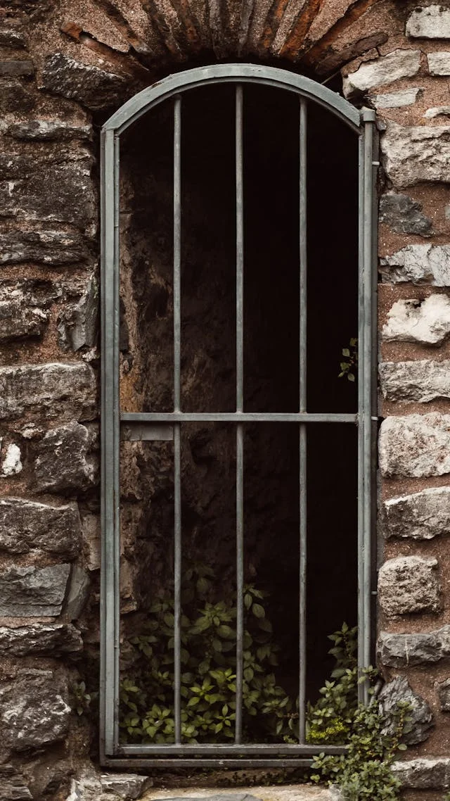 pexels-media-16796473