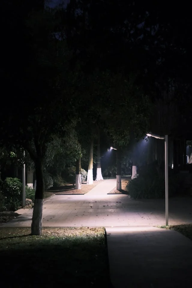 pexels-media-20504843