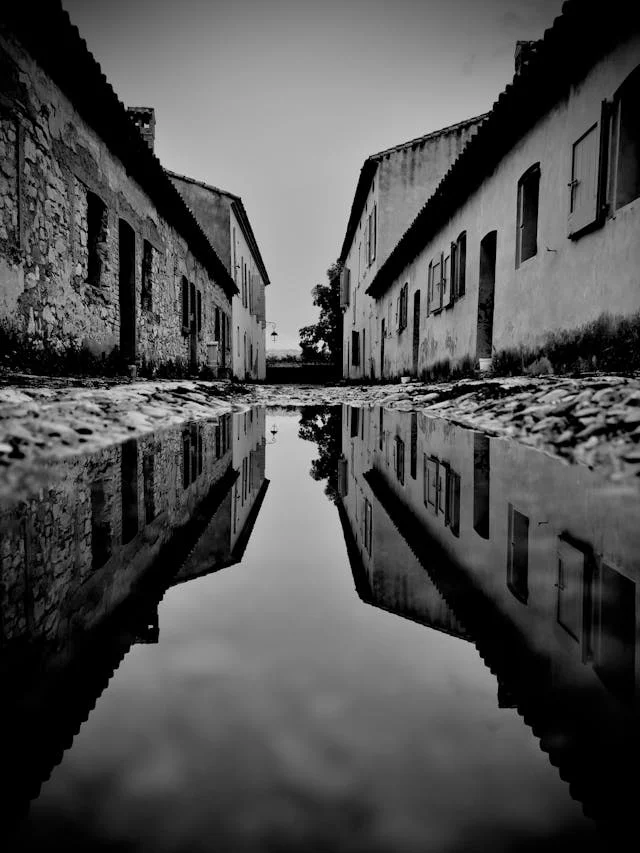 pexels-media-24425475