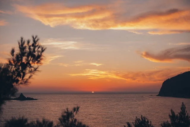 pexels-media-4206554