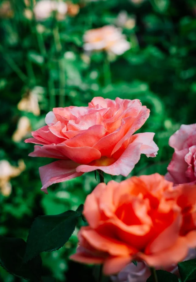 pexels-media-8364977