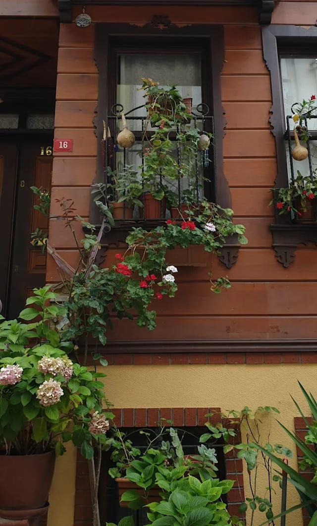 pexels-media-8385833