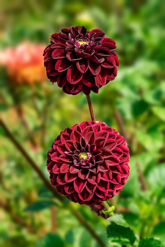 pexels-media-9874686