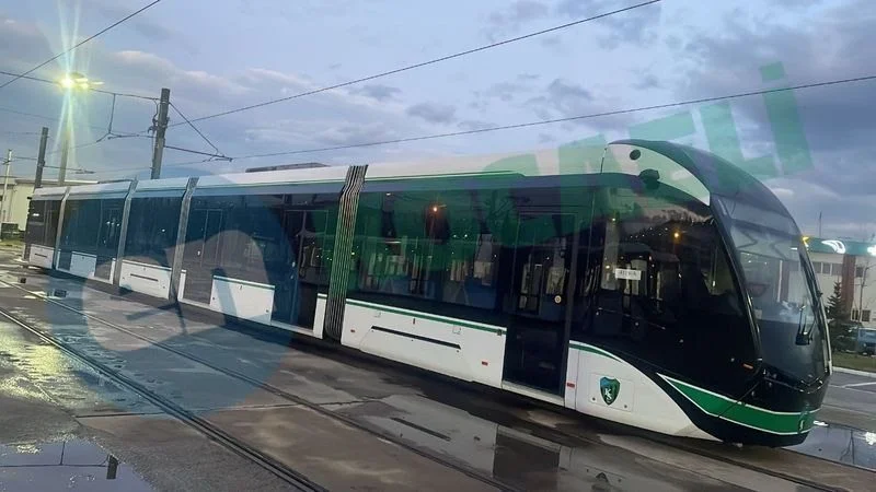 photo-2024-01-08-18-39-39-3