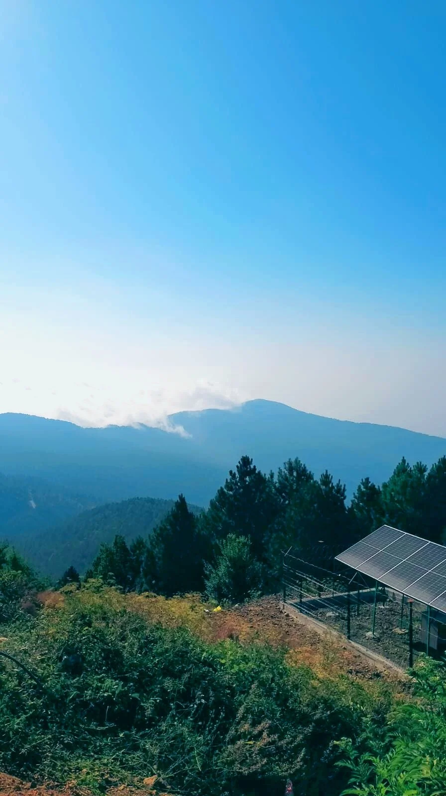 PICNIC_20240313_174200215