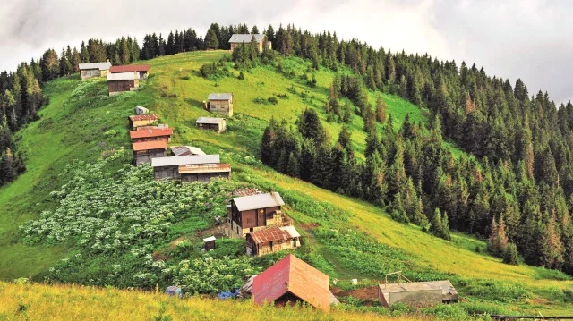 resized_90f2c-57aefecagitoyaylasi_tg