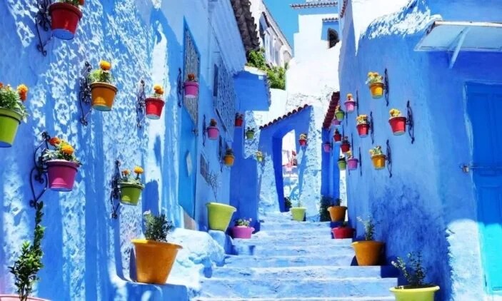 Safsavan-hakkinda-bilmeniz-gerekenler2-703x422